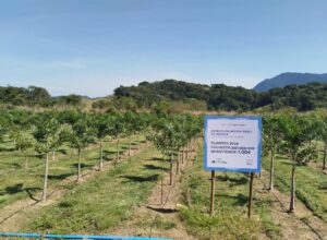 Referência nacional em paisagismo, Benedito Abud assina projeto no Bairro Harmonia