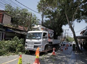 Enel Rio e Prefeitura de Búzios promovem ação de poda em áreas turísticas