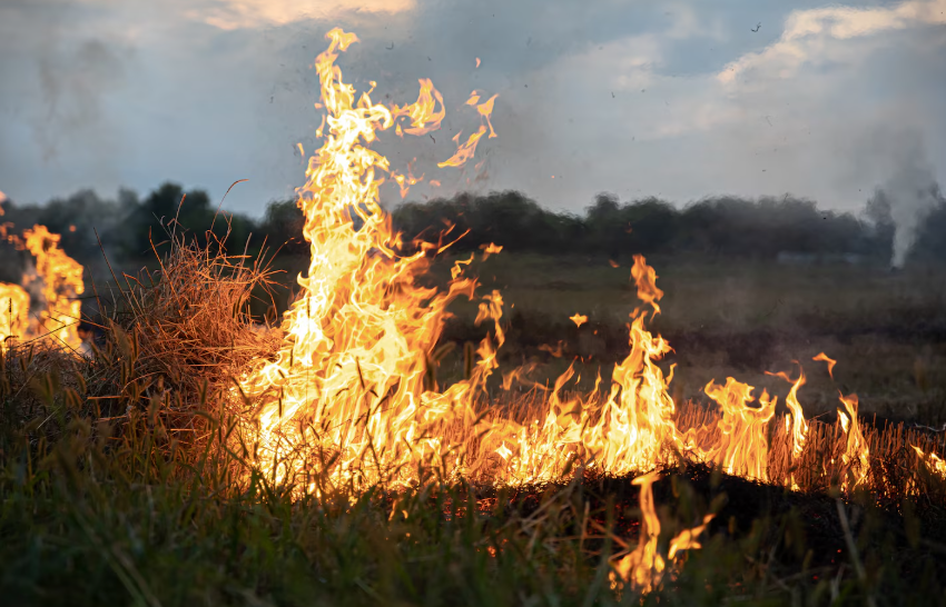 Macaé inicia ação contra queimadas e reforça prevenção de incêndios