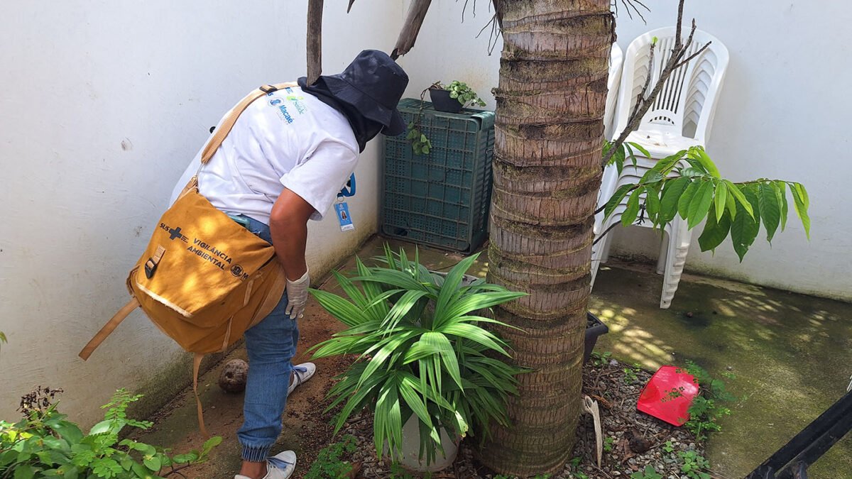 Prefeitura de Macaé intensifica combate à dengue entre 23 e 27 de março