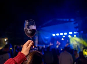 Wine in Búzios chega a  7ª edição reunindo expositores, gastronomia e atrações culturais