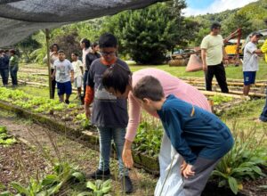 Alunos de programas agrícolas de Casimiro de Abreu colhem 602 kg de inhame e realizam doação para a APAE