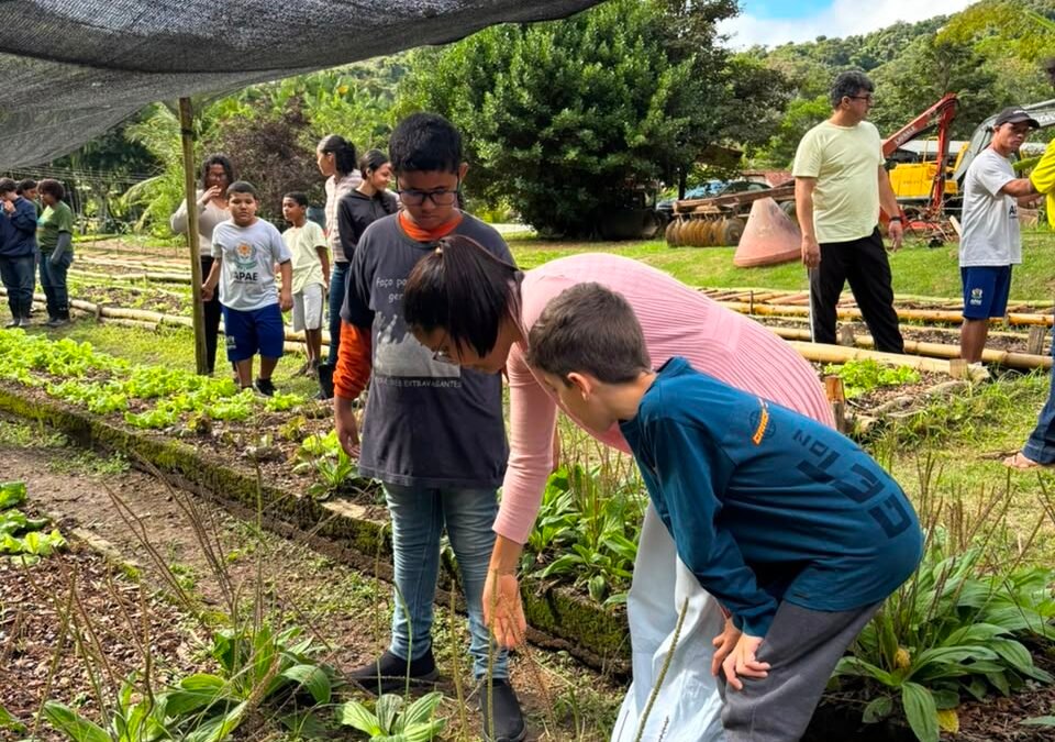 Alunos de programas agrícolas de Casimiro de Abreu colhem 602 kg de inhame e realizam doação para a APAE