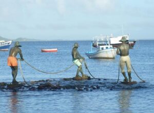 Fórum da Pesca 2026 vai debater desafios e oportunidades para a nova geração em Búzios