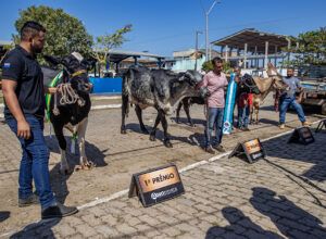 Macaé é Agro na Expo Macaé reúne especialistas, produtores e instituições para fortalecer o agronegócio