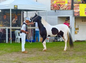 Expo Pampa Araruama 2026 reúne criadores de cavalo de todo o país e impulsiona turismo, agronegócio e economia