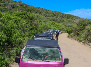 Prefeitura de Cabo Frio convoca motoristas para vistoria anual de frota de buggy-turismo
