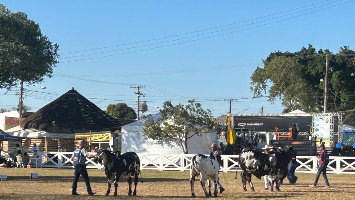ExpoAgro de Campos chega à 65ª edição com foco em negócios, leilões e grandes shows