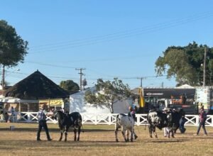 ExpoAgro de Campos chega à 65ª edição com foco em negócios, leilões e grandes shows